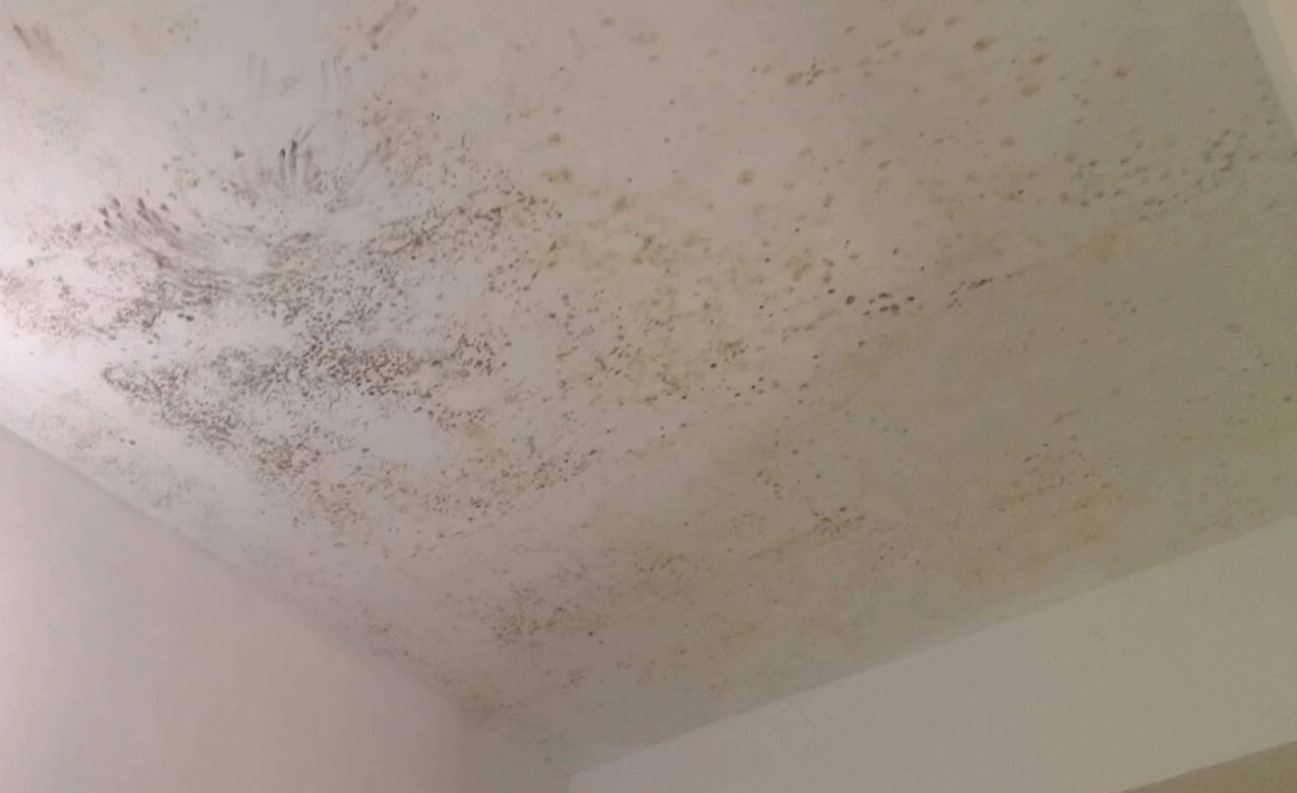 天花板發霉處理