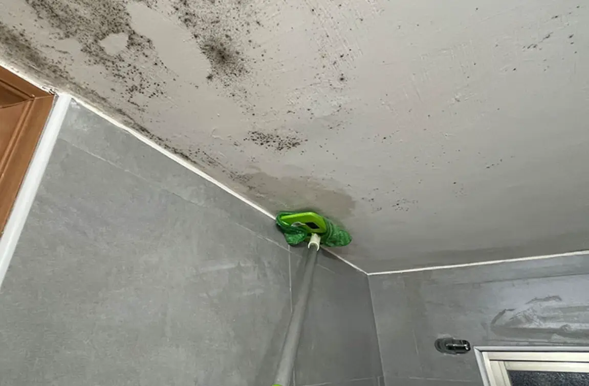 發霉清除方法 發霉清除方法