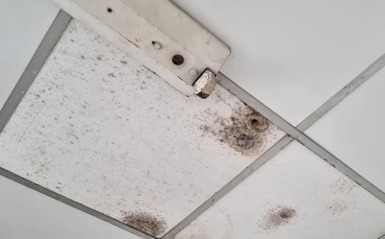 天花板發霉原因