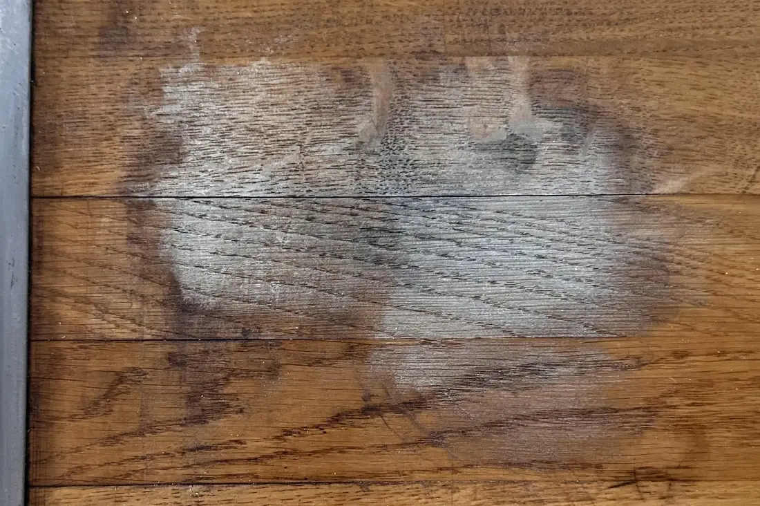 木頭除霉方法全攻略：天然除霉劑製作到預防發霉技巧