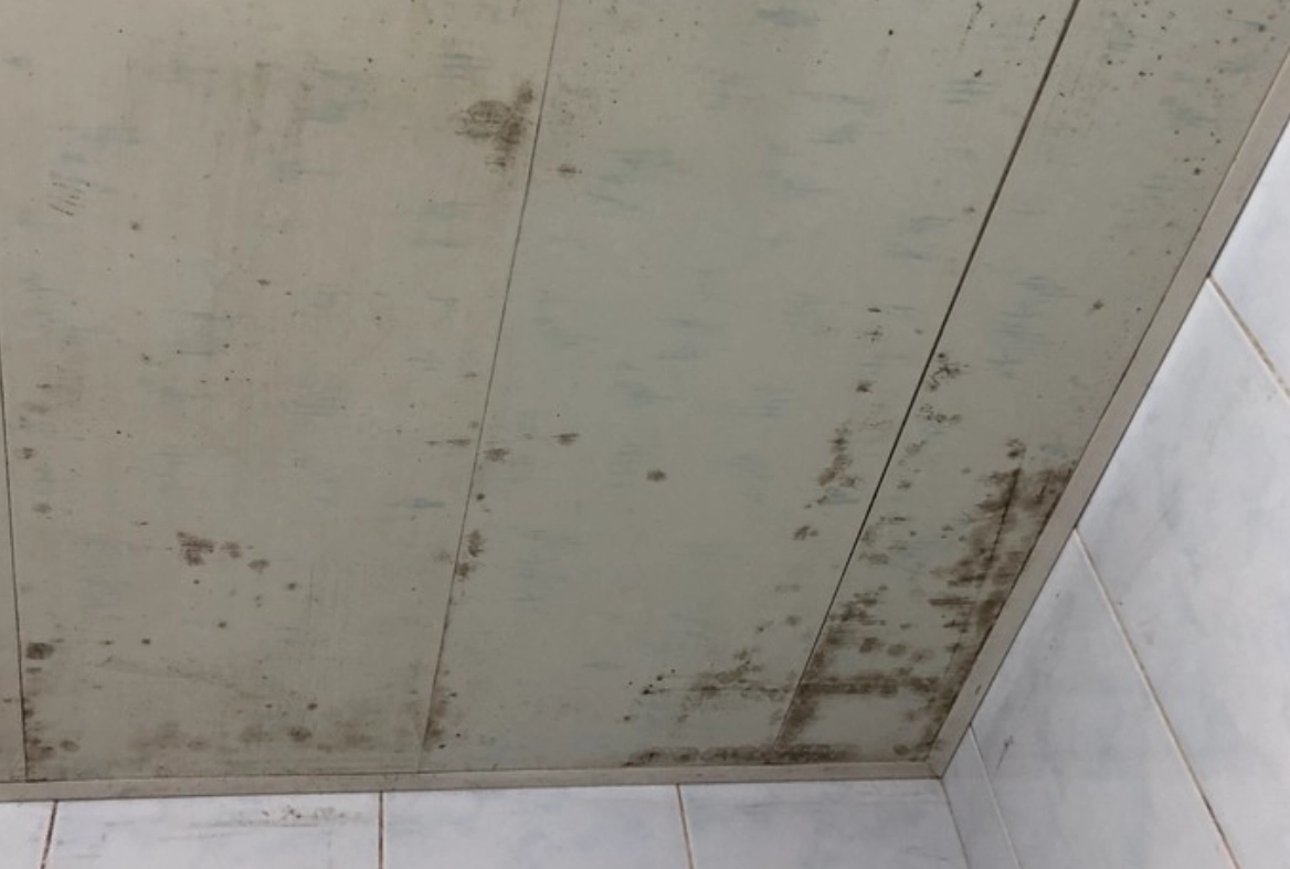 浴室天花板黴菌清除