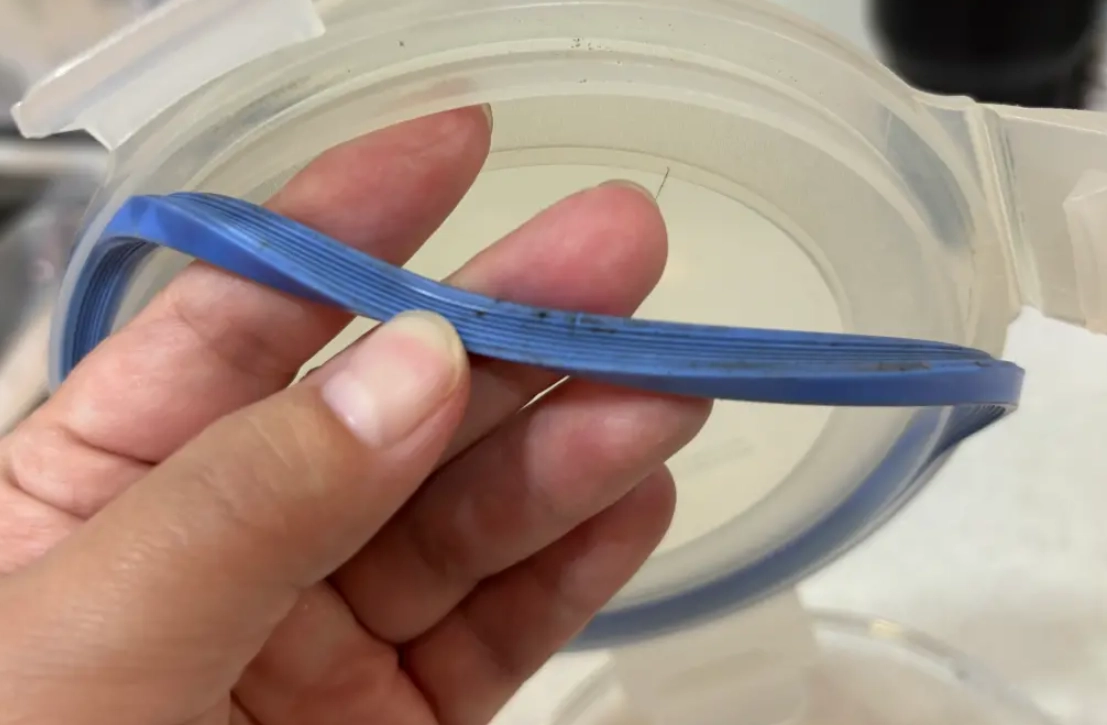 保鮮盒膠條發霉漂白水清潔步驟與常見錯誤解析