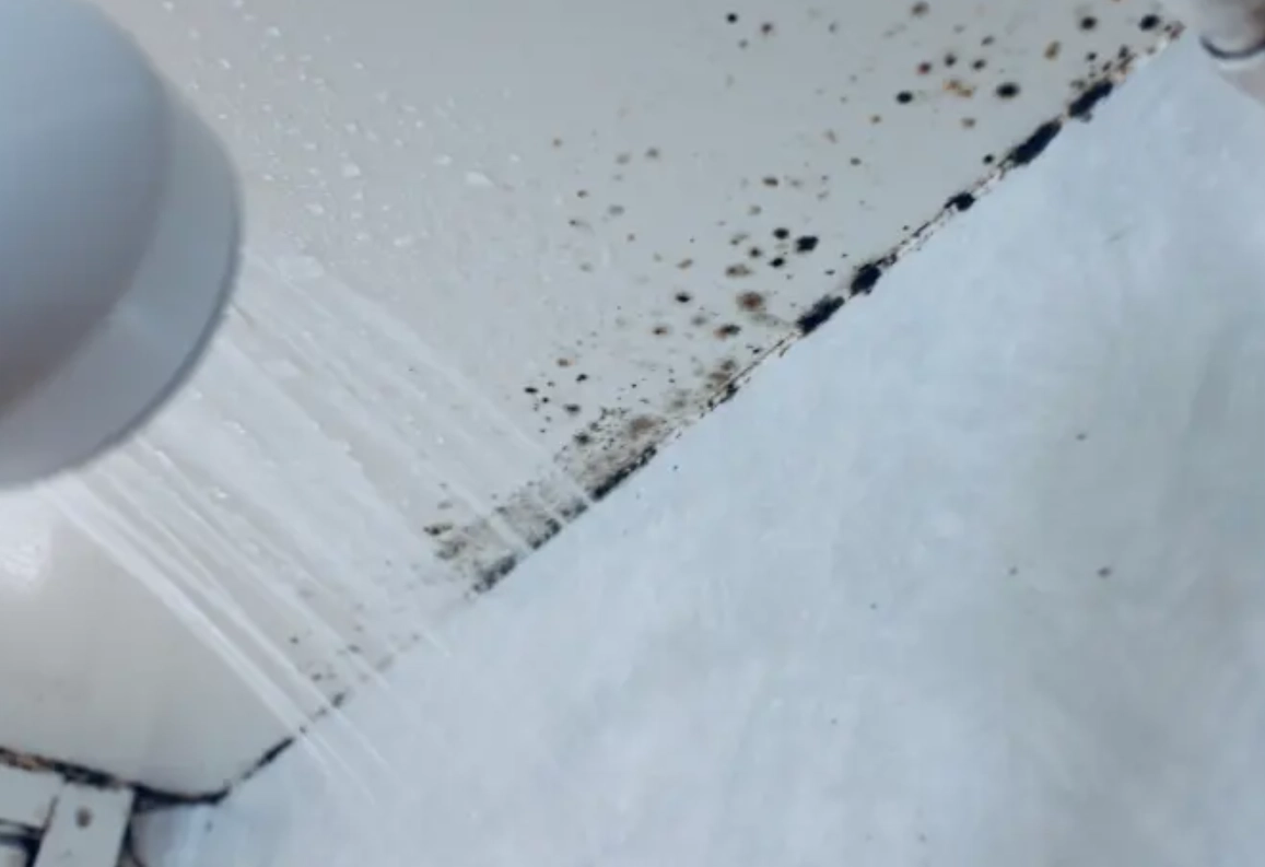 浴室天花板黴菌清除