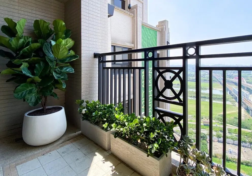 陽台植物風水佈局指南：招財、化煞、提升運勢的實用技巧