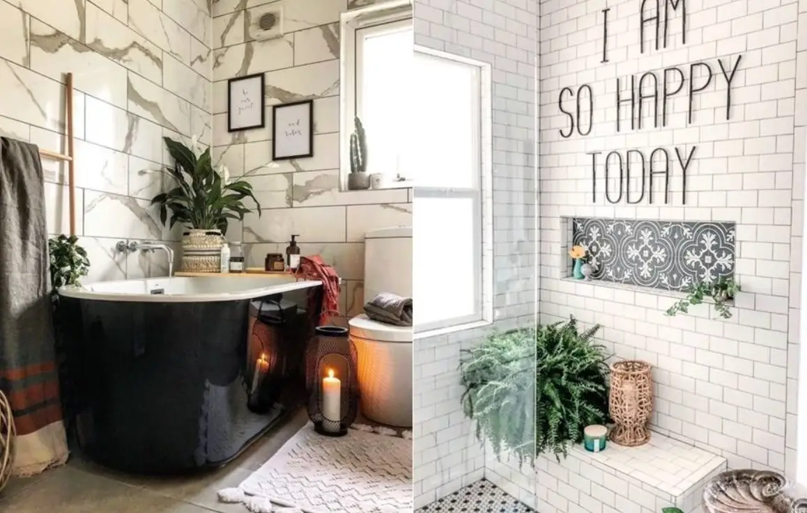 廁所綠植擺放 廁所綠植擺放