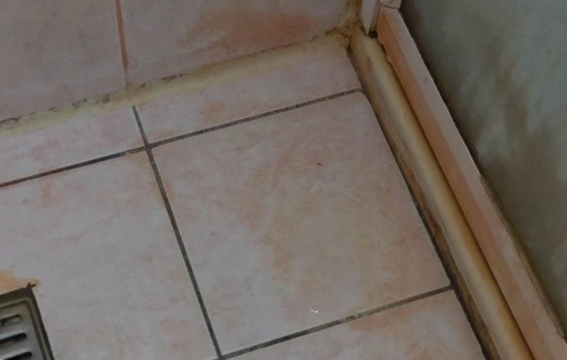 浴室粉紅水垢清潔全攻略：成因、去除與預防一次看懂