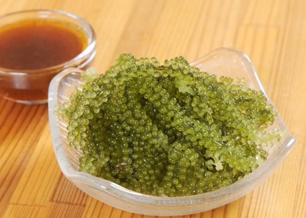 海葡萄怎麼吃？完整處理技巧與創意食譜大公開