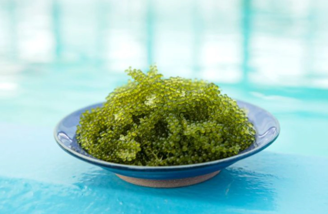 澎湖在地保養品牌