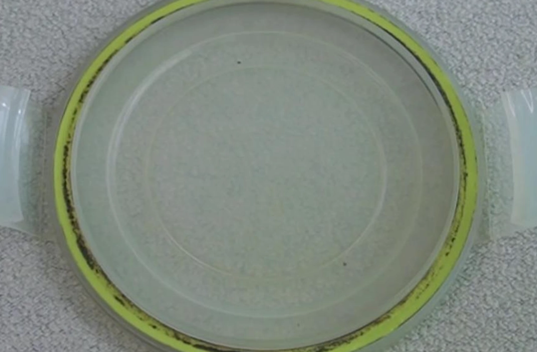 食品級矽膠發霉