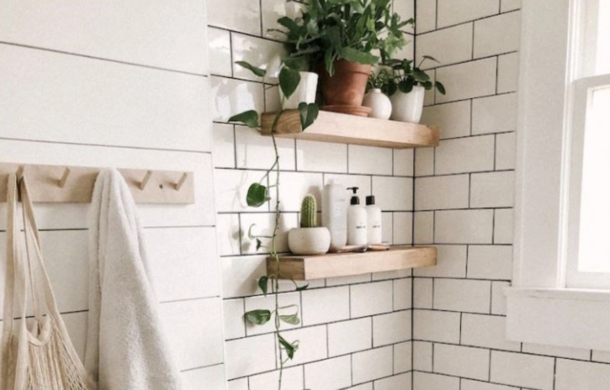 廁所綠植擺放 廁所綠植擺放