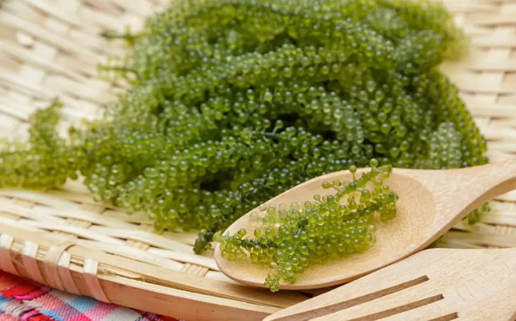 澎湖在地保養品牌