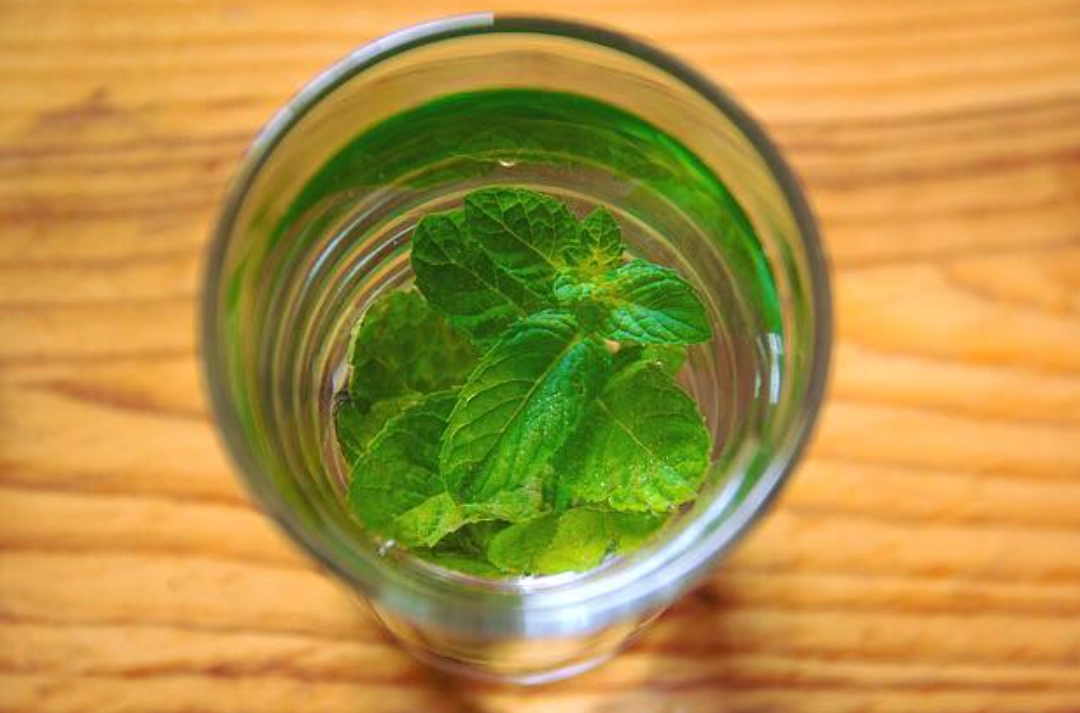 薄荷水全攻略：自製配方、功效解析與常見迷思一次搞懂