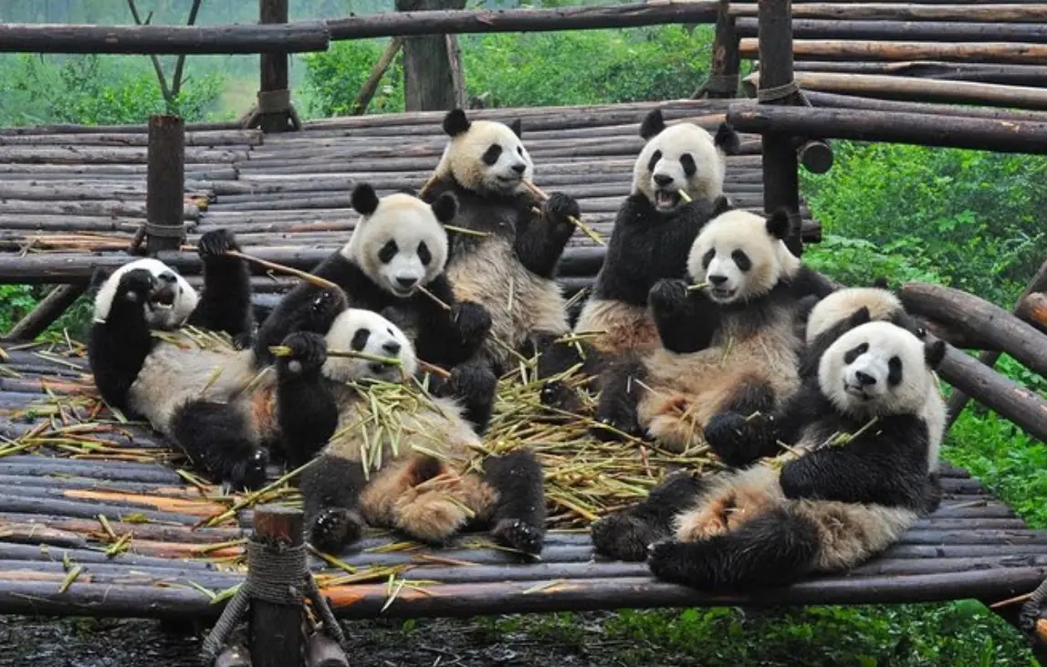 大陸旅遊攻略 大陸旅遊攻略