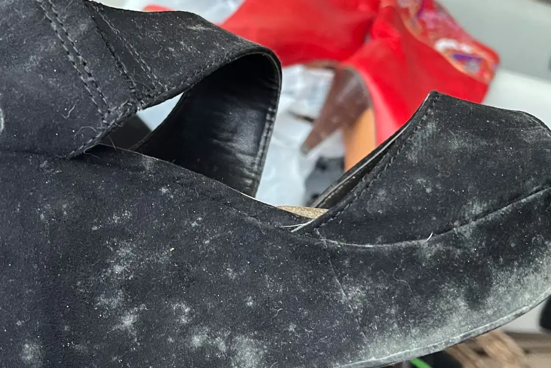 鞋子發霉還能穿嗎 鞋子發霉還能穿嗎