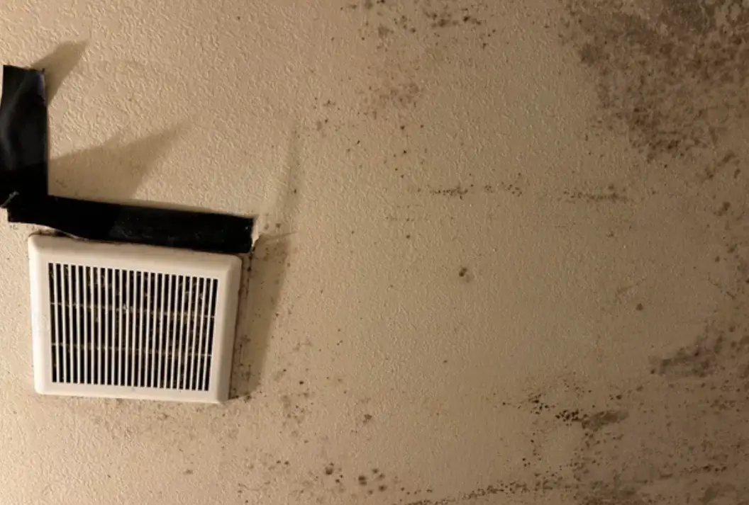 天花板發霉漂白水終極指南：正確稀釋比例、安全步驟與常見錯誤