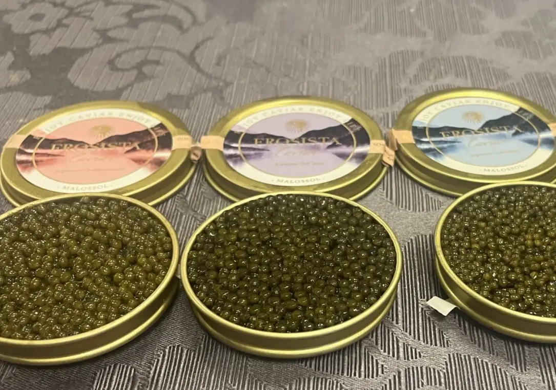 魚子醬好處有哪些？營養師解析四大功效與聰明吃法