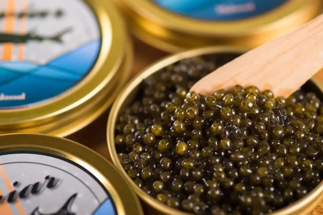 魚子醬怎麼吃