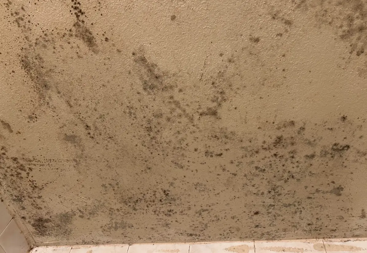 漂白水除霉比例