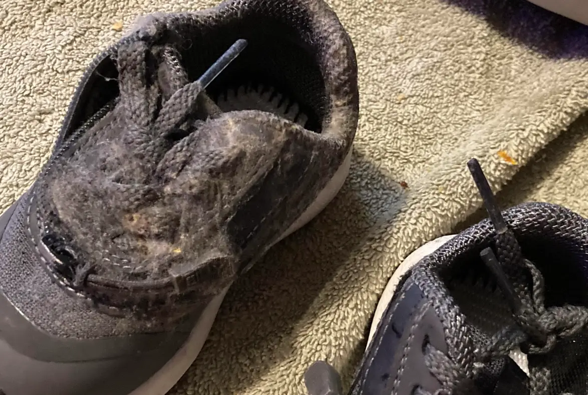 運動鞋發霉處理全攻略：專家教你徹底清潔與預防技巧