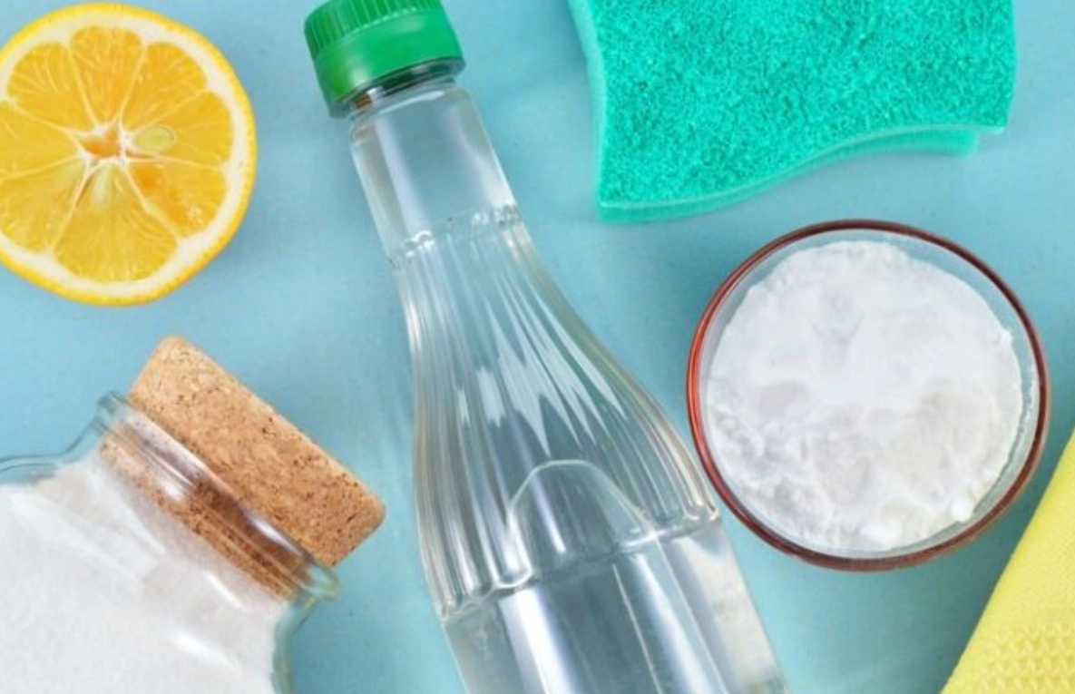 天然除霉方法大公開：6種安全有效的居家除霉配方與實戰技巧