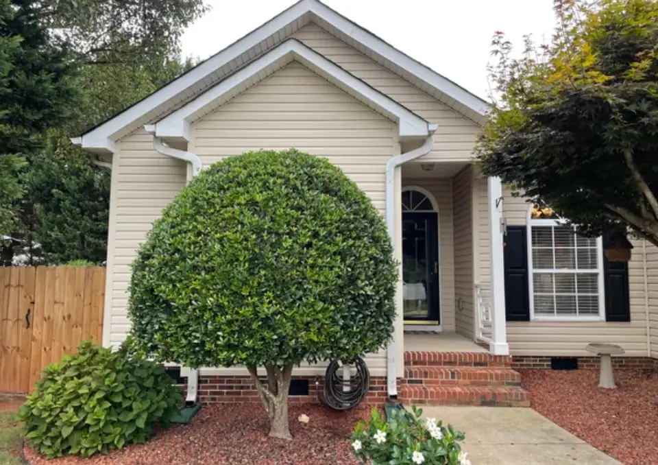 打造夢幻庭園的起點：造型灌木從挑選到養護的完整指南