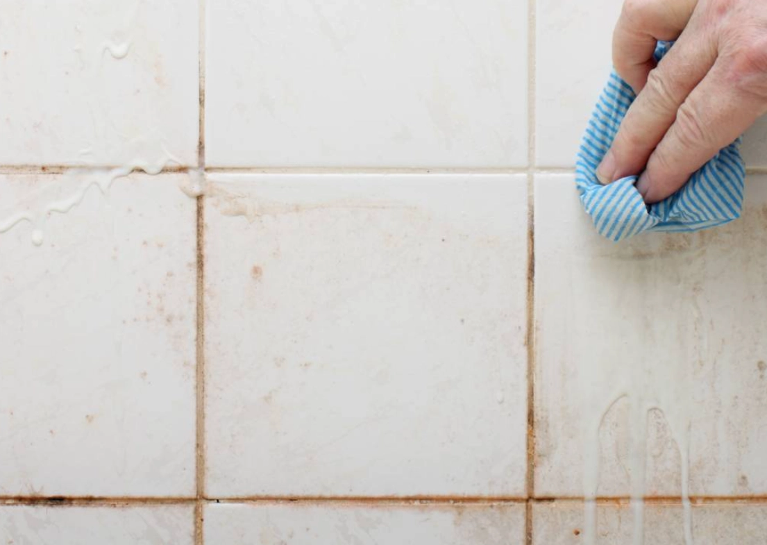 居家必學！如何去除發霉的終極指南，從成因到預防一次搞懂