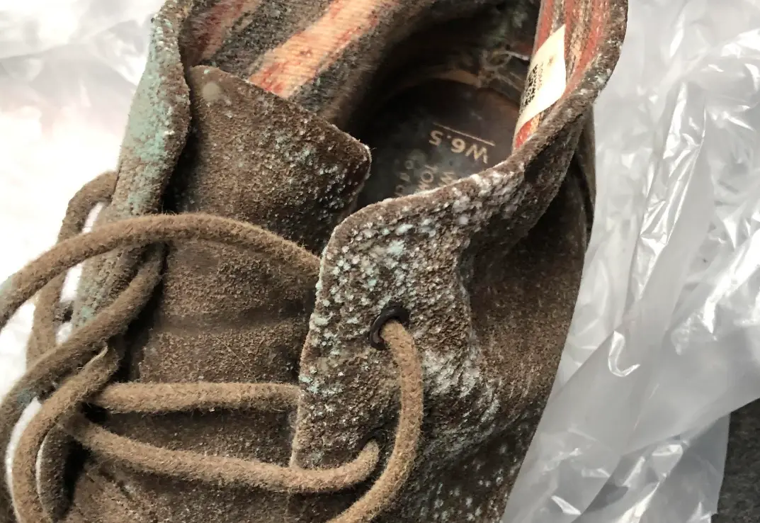 發霉鞋子清潔 發霉鞋子清潔