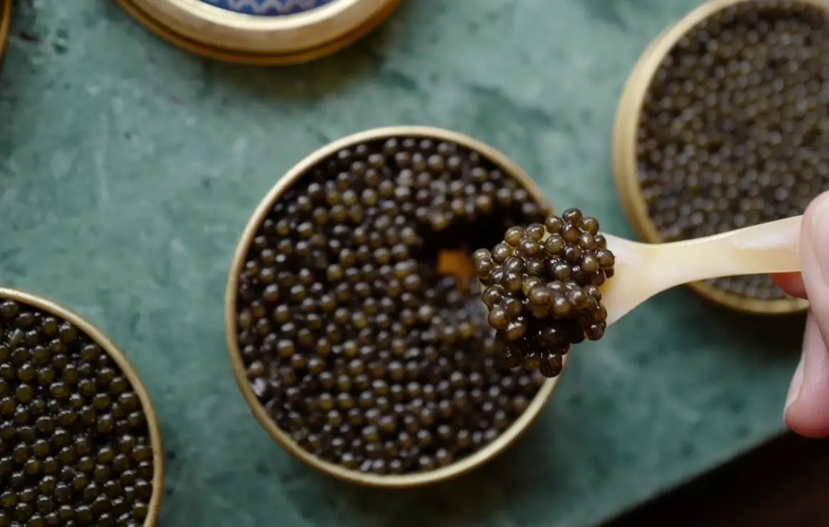 魚子醬適合什麼人