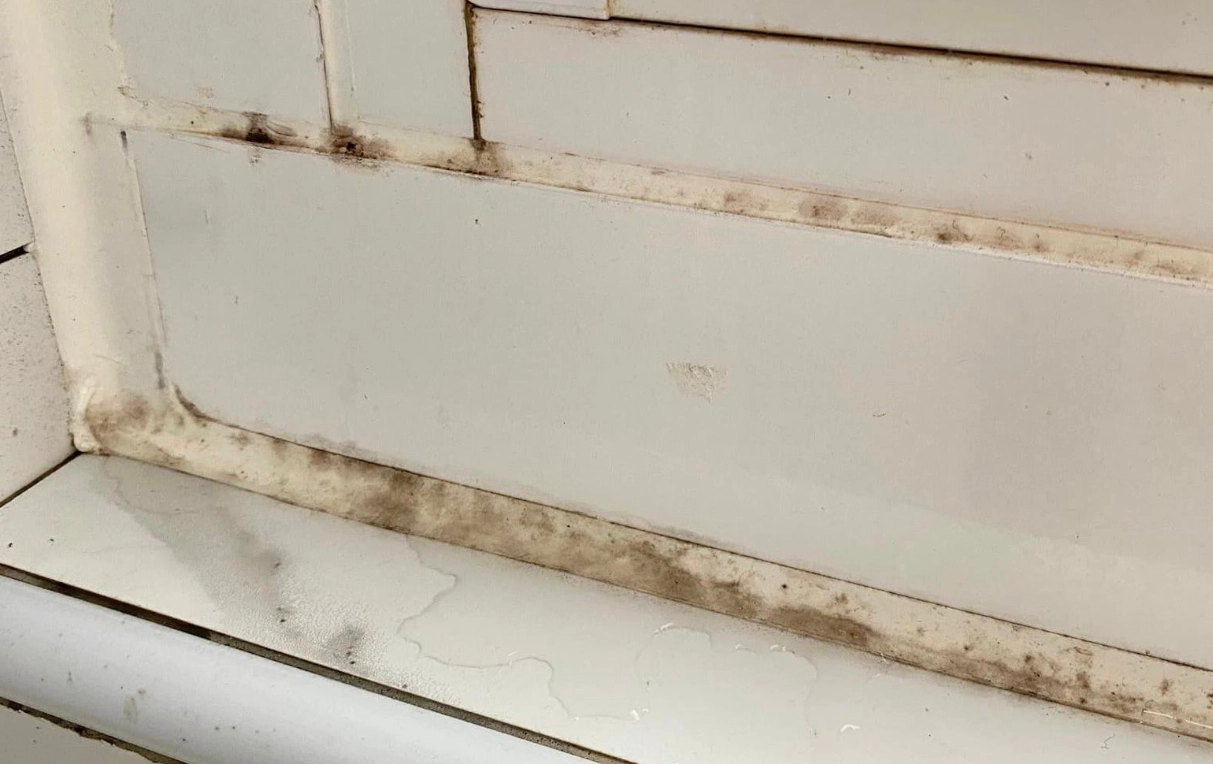 防霉膠怎麼選？施工師傅教你挑對不發霉的浴室填縫劑