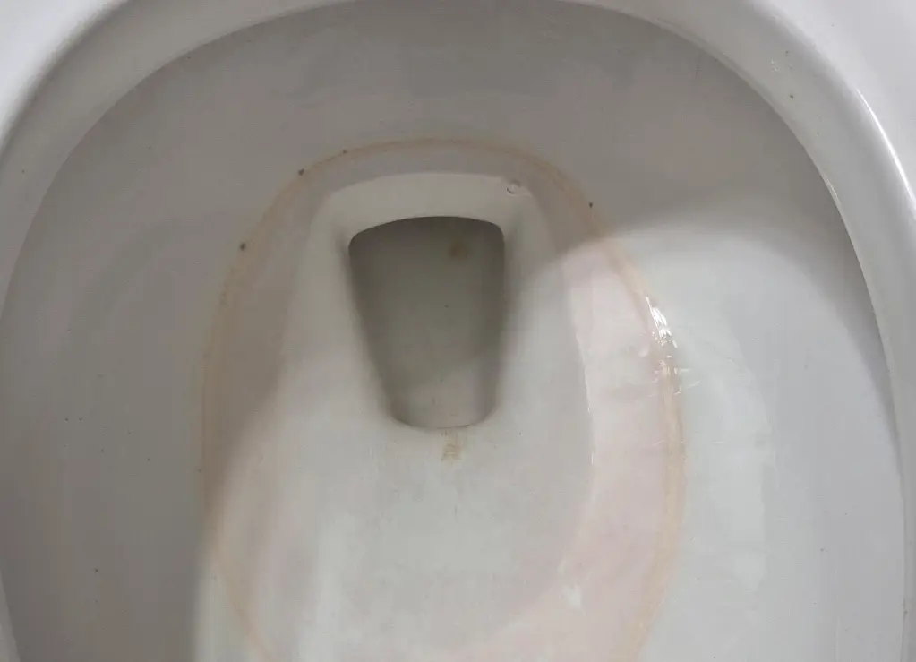 紅酵母菌馬桶清潔全攻略：天然、環保、省錢的居家秘方