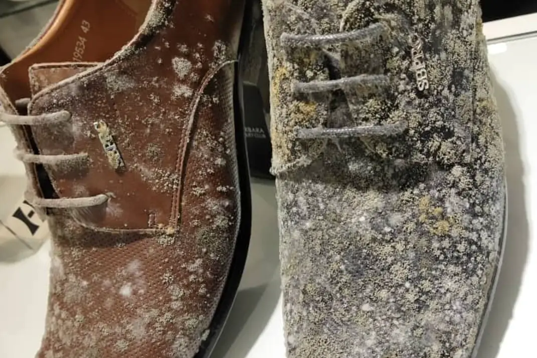 鞋子發霉還能穿嗎 鞋子發霉還能穿嗎