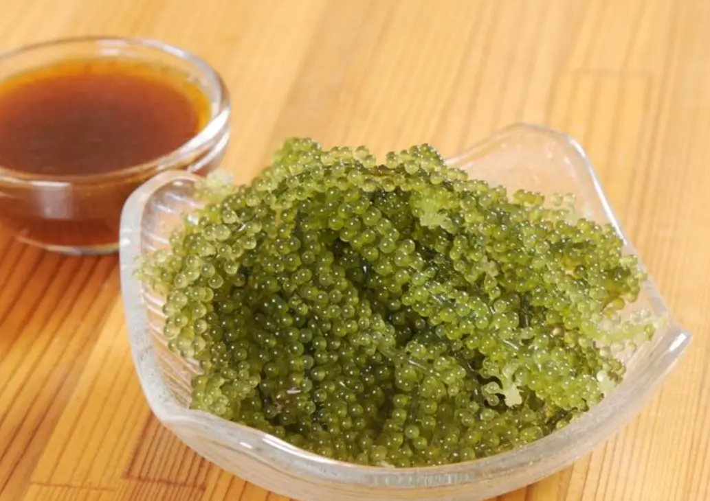 海葡萄功效全解析：營養價值、正確吃法與挑選秘訣一次看