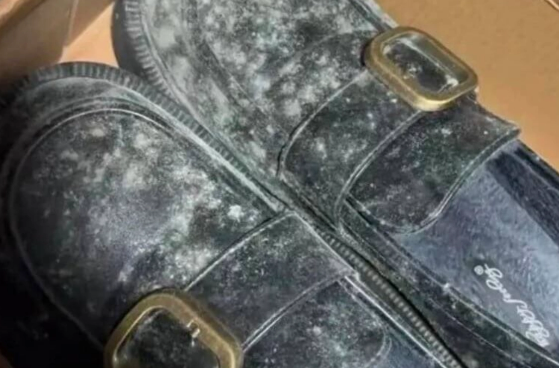 鞋子發霉還可以穿嗎？安全清潔與判斷完整指南