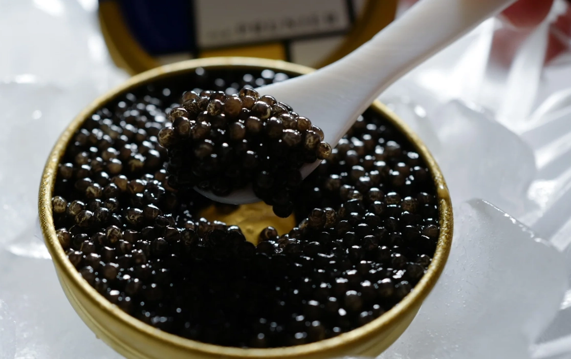 魚子醬 動物福利