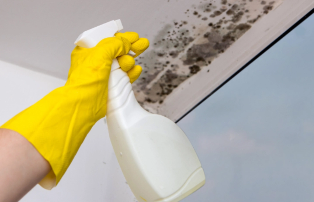 除霉劑使用方法 除霉劑使用方法