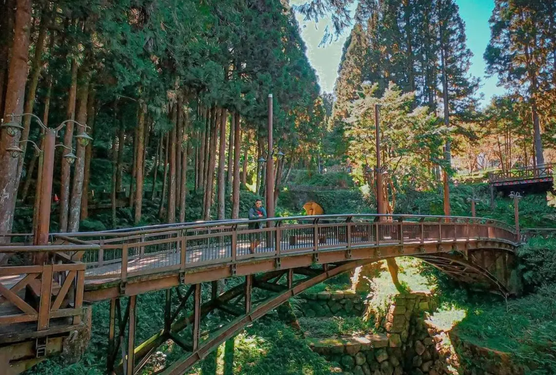 奮起湖阿里山公車 奮起湖阿里山公車