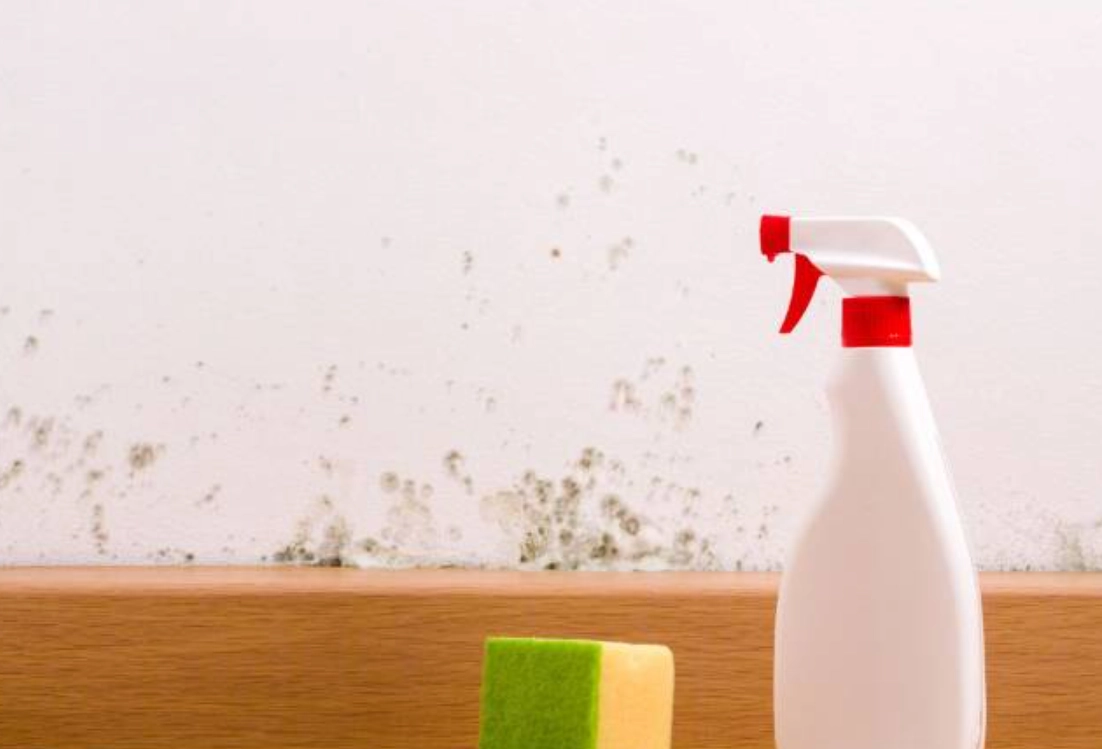 除霉劑使用方法 除霉劑使用方法