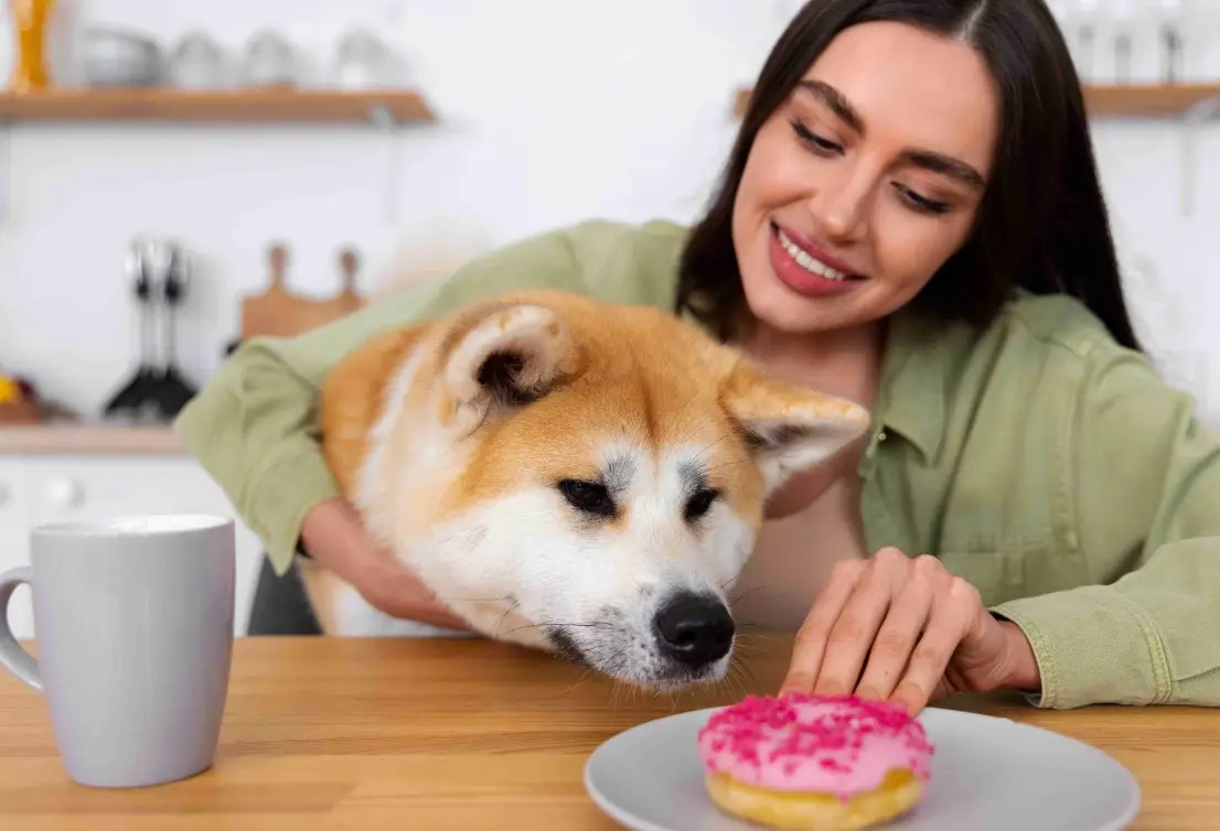 狗狗中毒食物清單：10種常見危險食物與急救處理指南