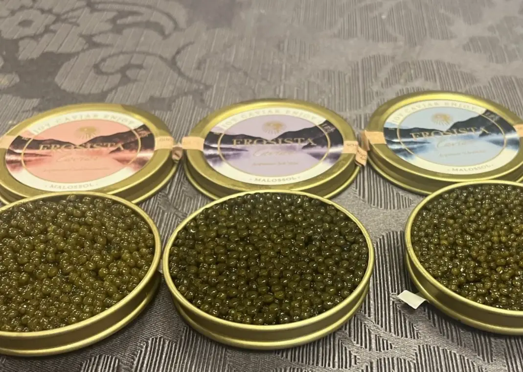 魚子醬 動物福利