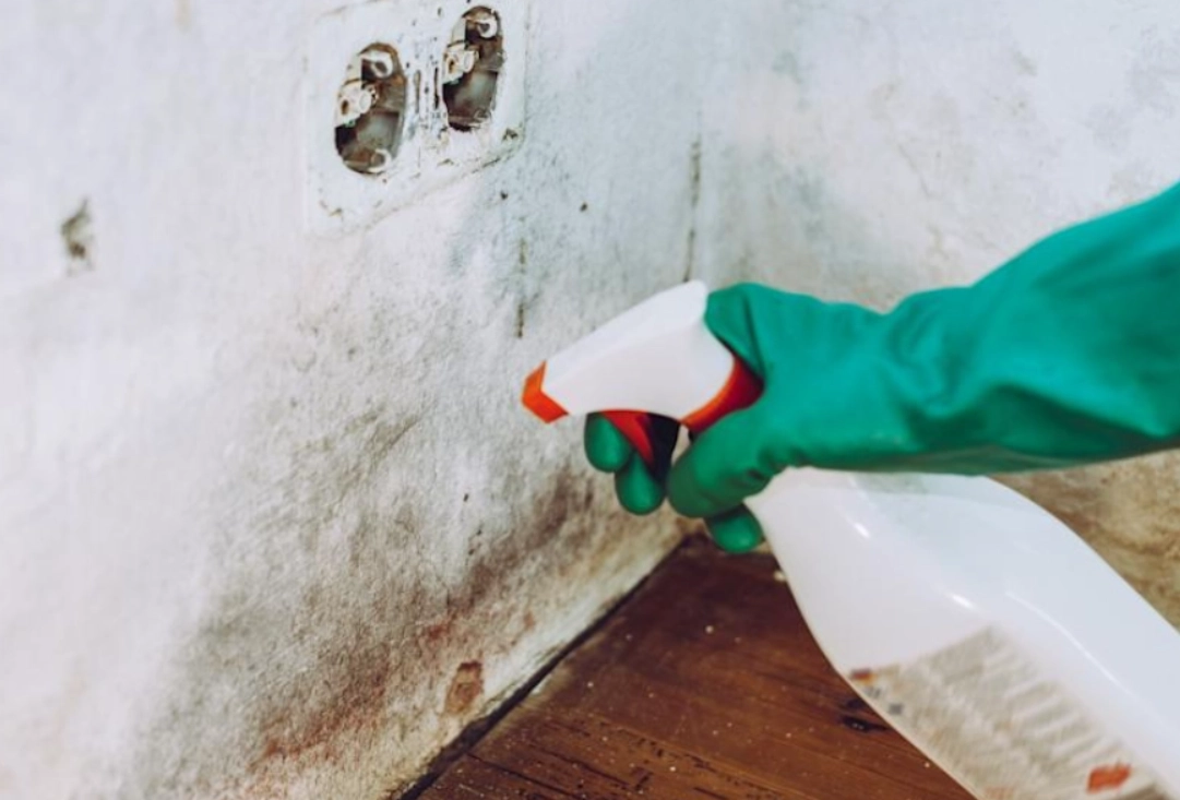 除霉劑使用方法 除霉劑使用方法