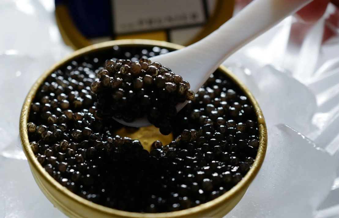 魚子醬放題 餐廳