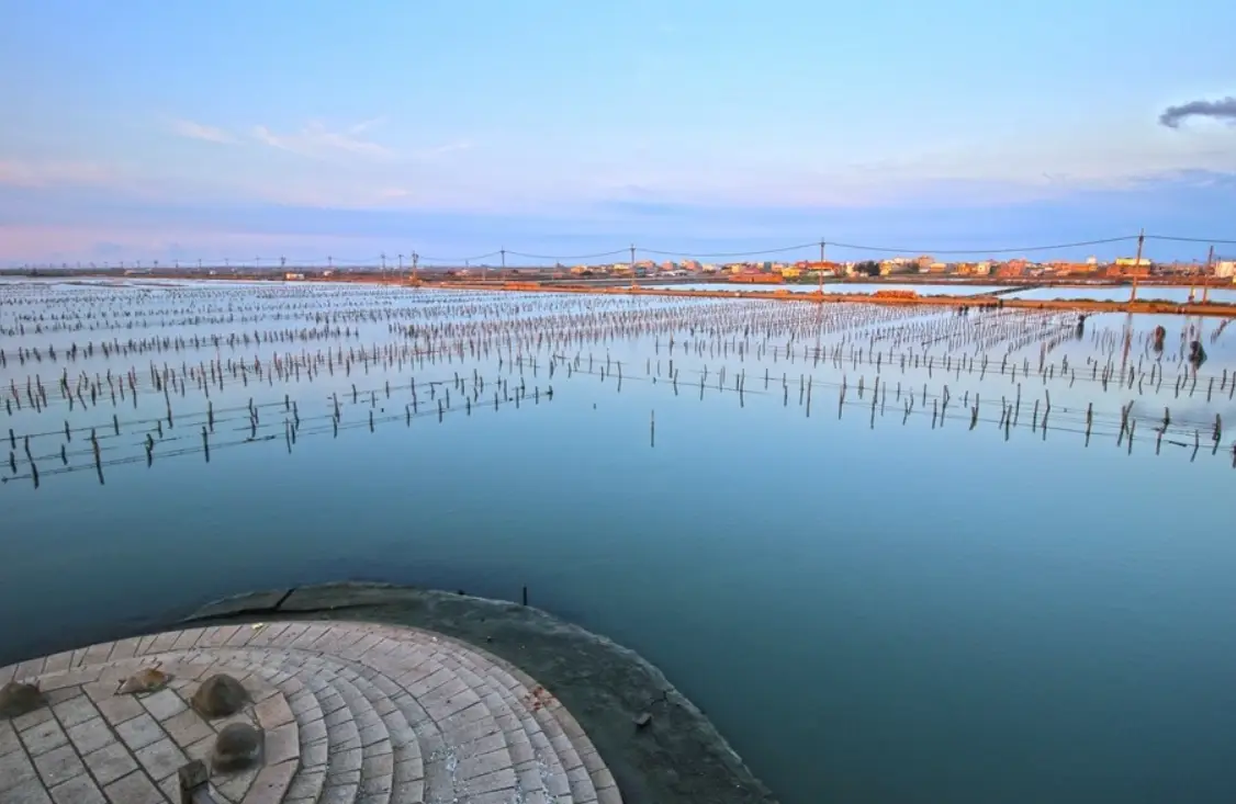 雲林海線深度遊：從台西到麥寮，5個不能錯過的濱海秘境指南