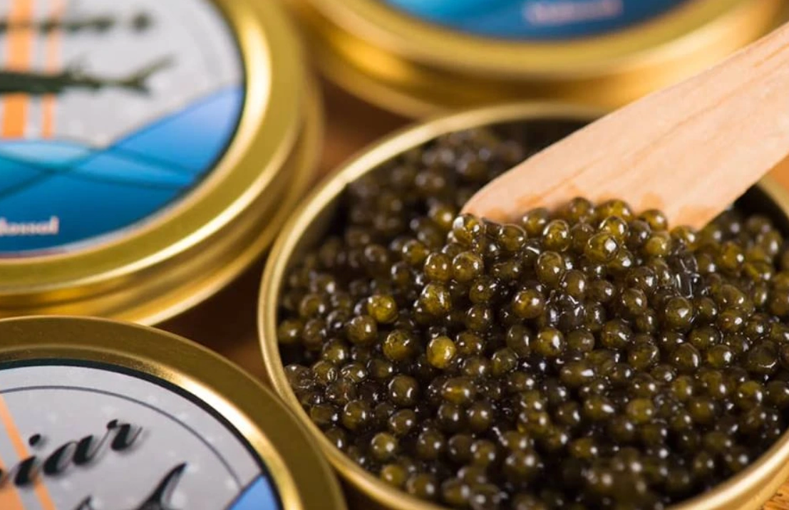 魚子醬殘忍真相：揭開奢華背後的倫理爭議與永續選擇