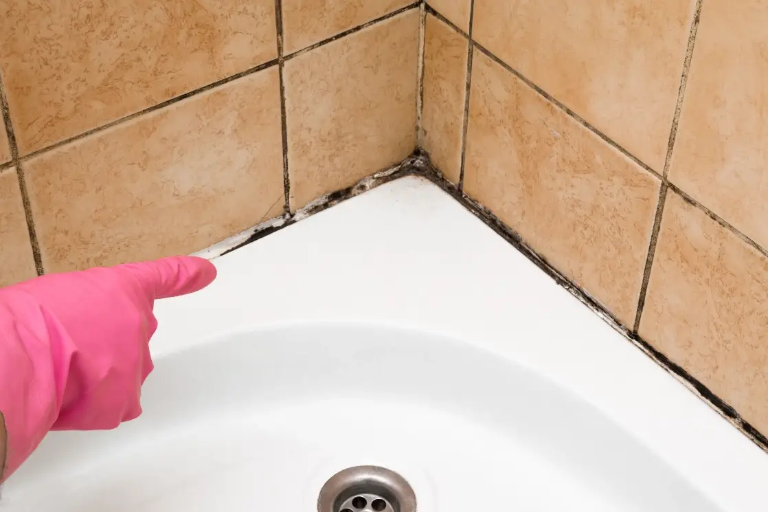 浴室磁磚發霉處理