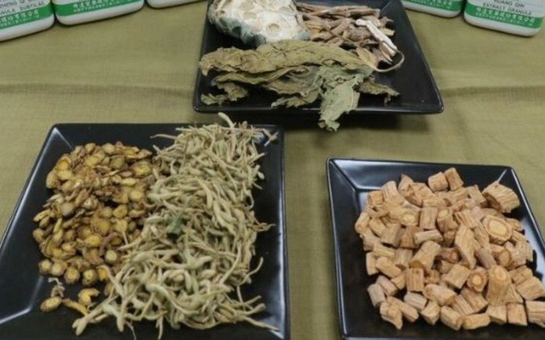 香砂六君子湯適用人群