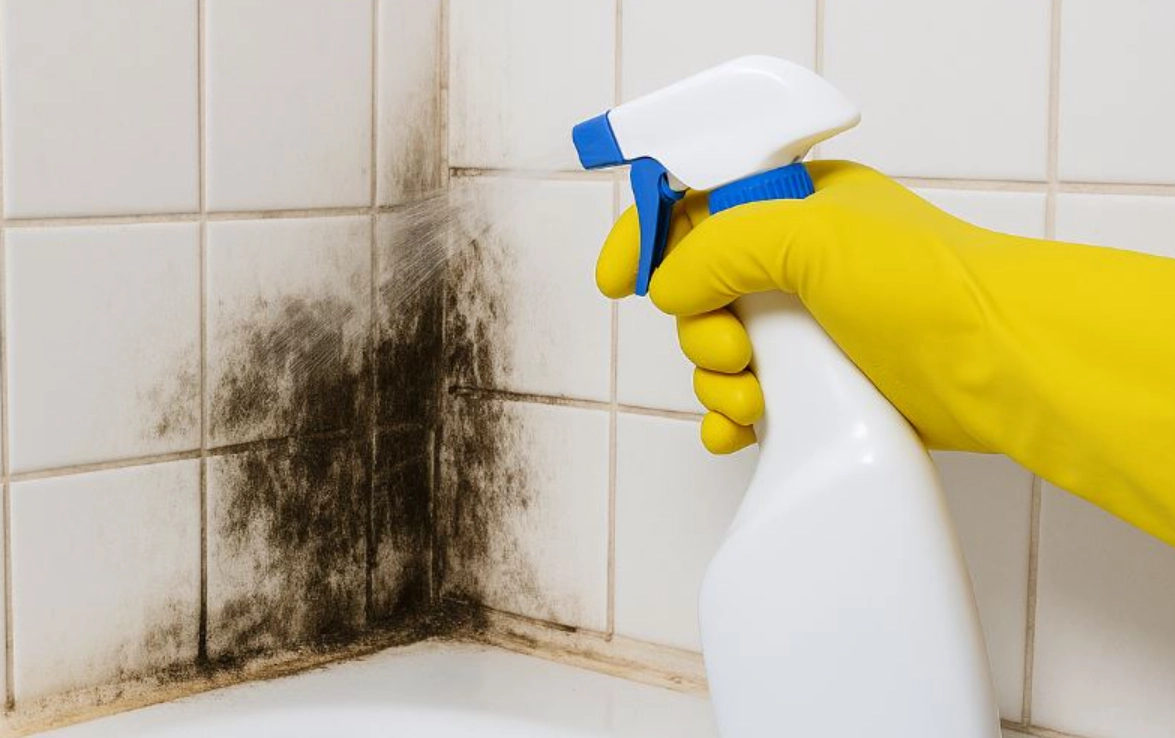 除霉劑成分 除霉劑成分