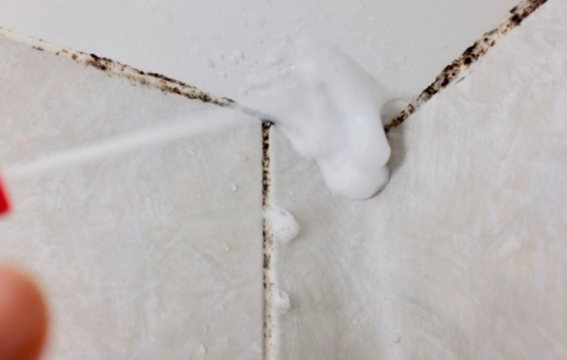 徹底清除浴室磁磚縫隙發霉：永久預防與清潔全攻略