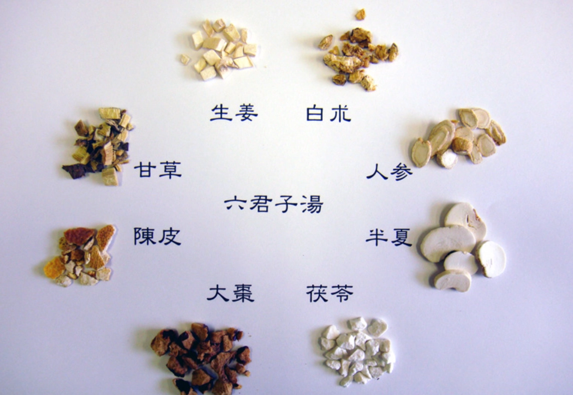 香砂六君子湯 香砂六君子湯