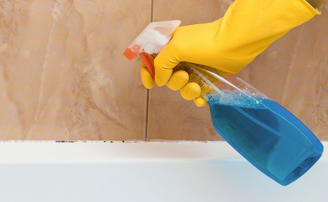 除霉劑推薦 除霉劑推薦