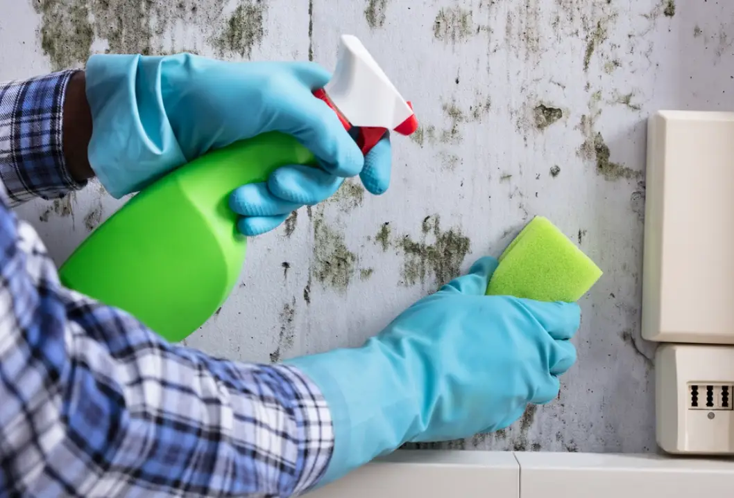 除霉劑推薦 除霉劑推薦